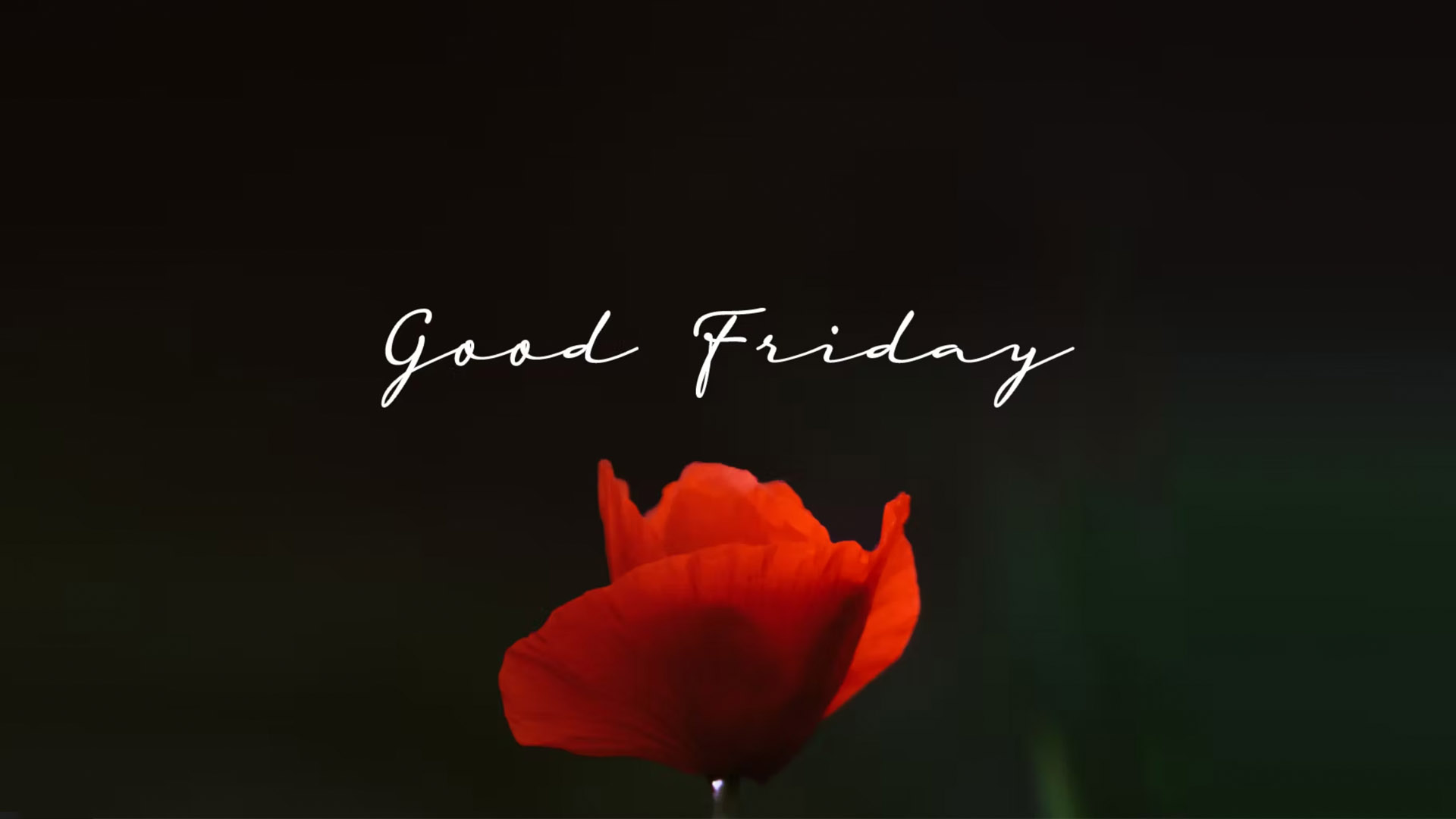 Good Friday Communion<br />Luke 22:14-15