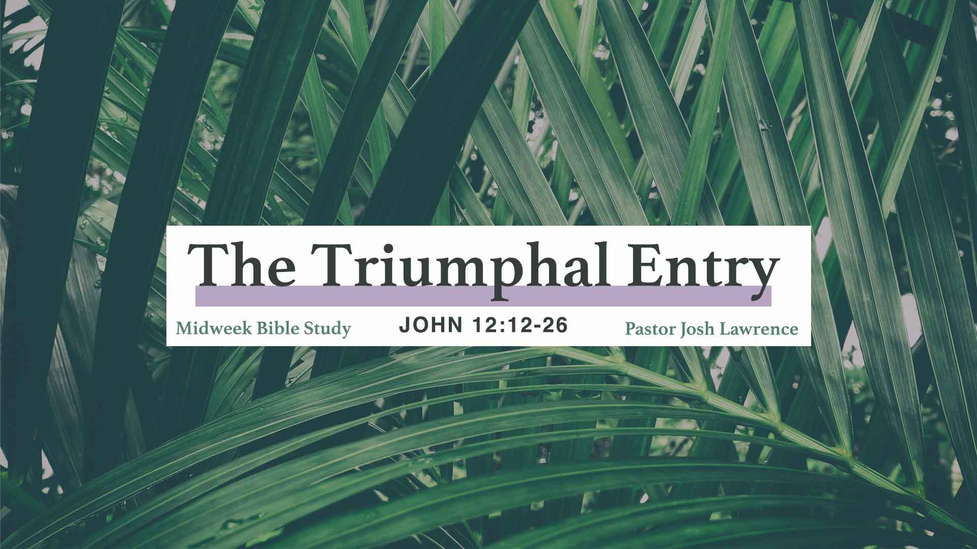 The Triumphal Entry<br />John 12:12-26