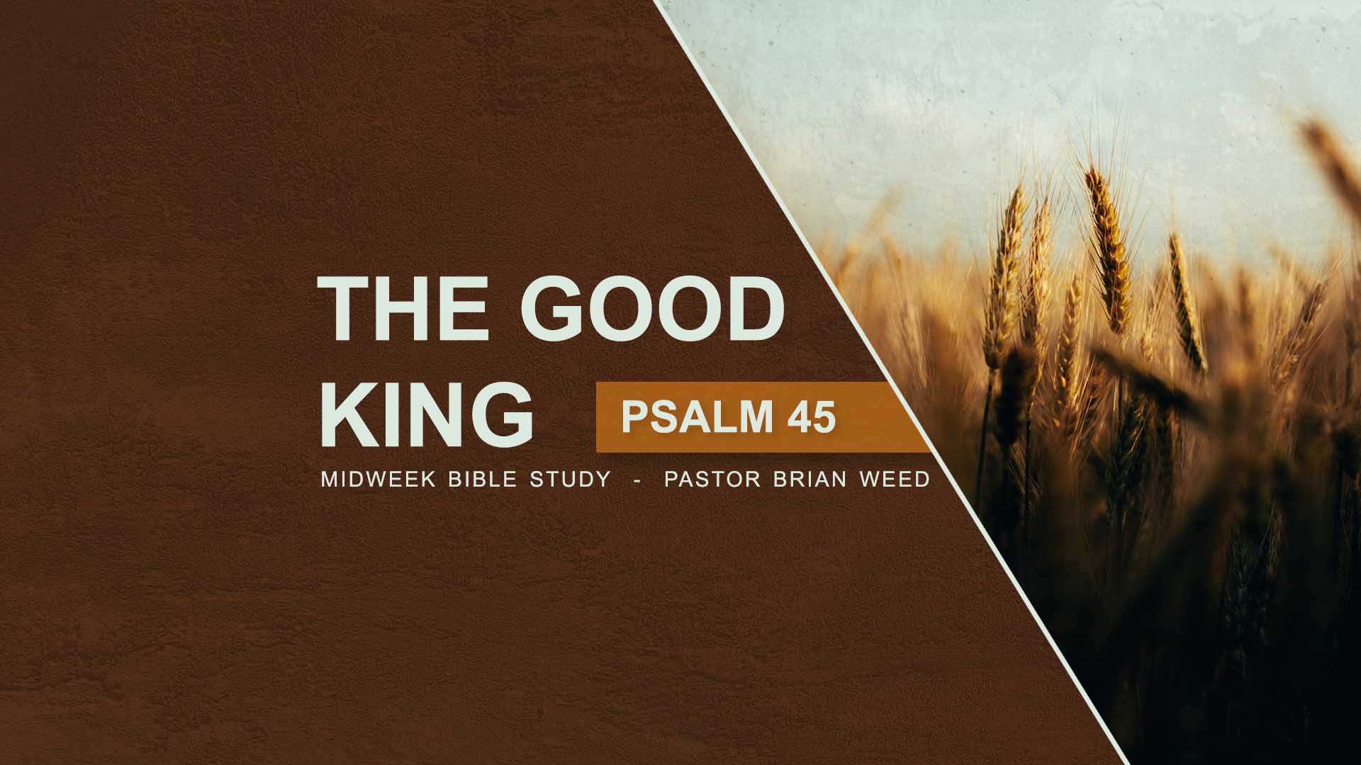The Good King<br />Psalm 45