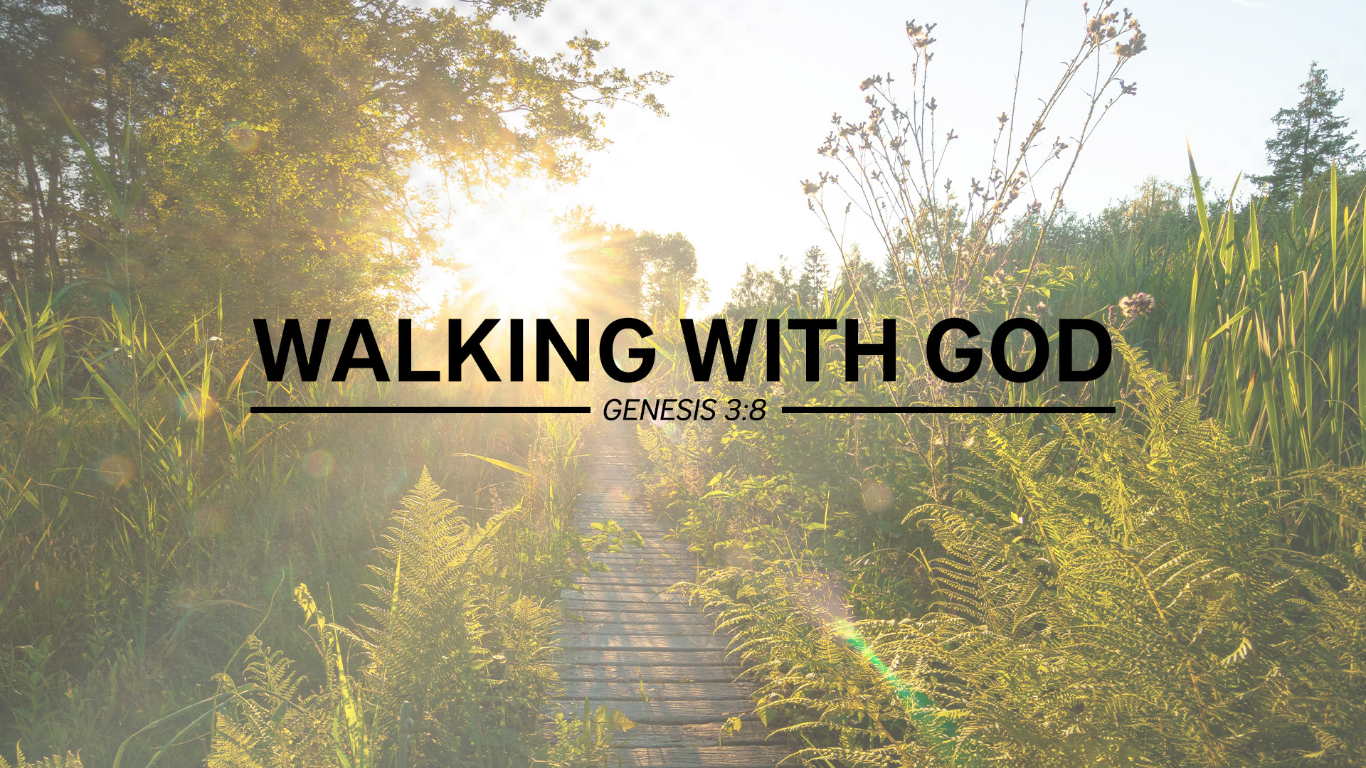 Genesis 3:8<br />Walking with God