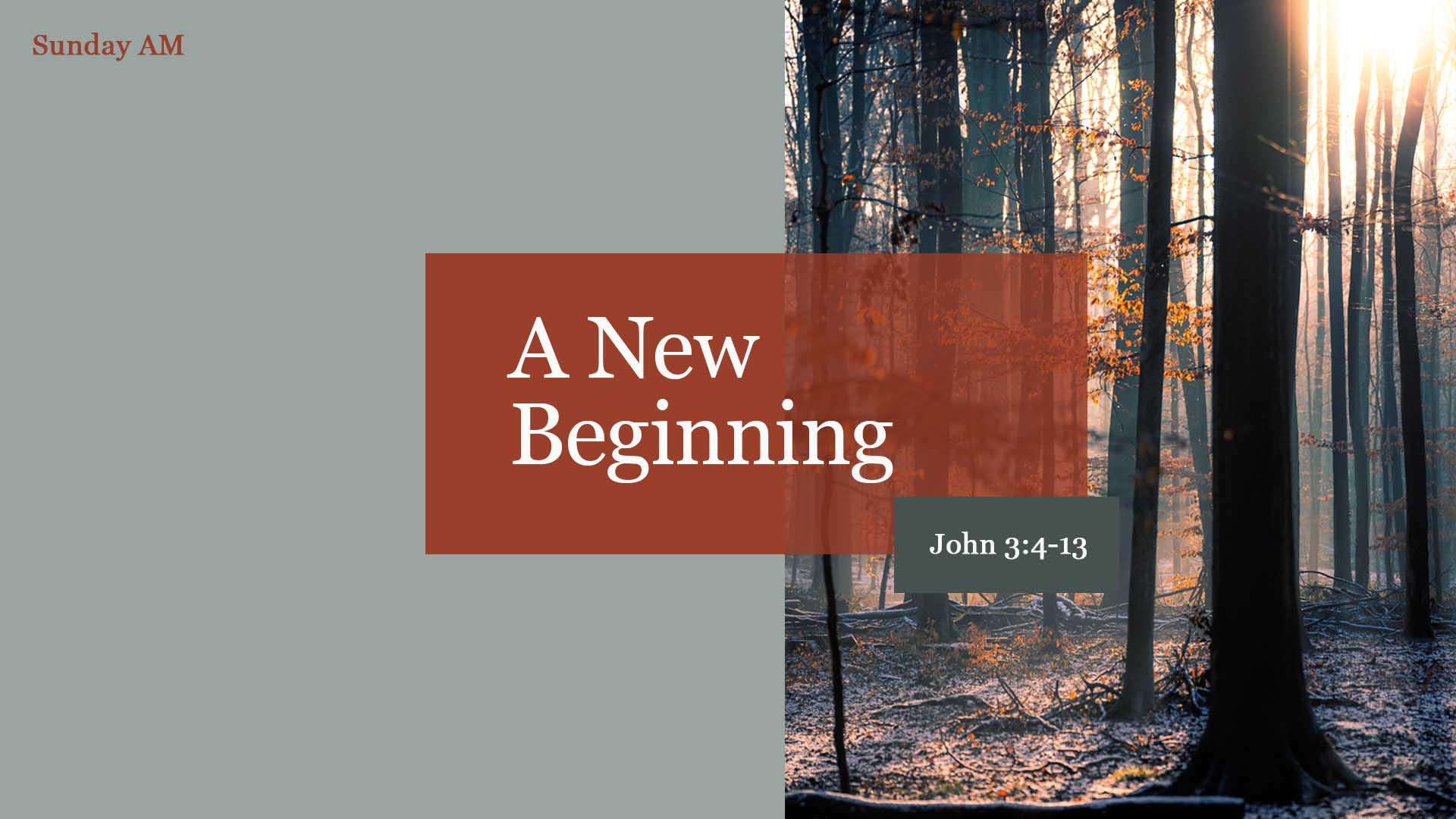 John 3:4-13<br />A New Beginning