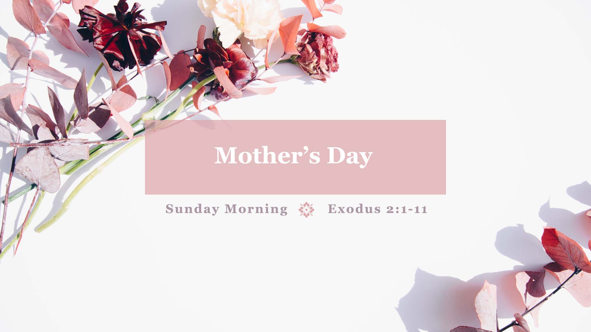 Mother's Day - Exodus 2:1-11
