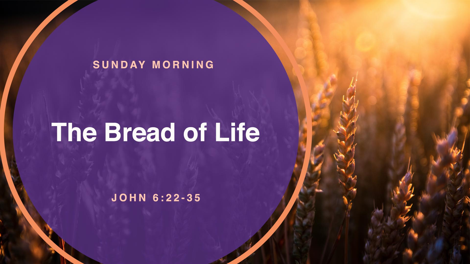 John 6:22-35<br />The Bread of Life