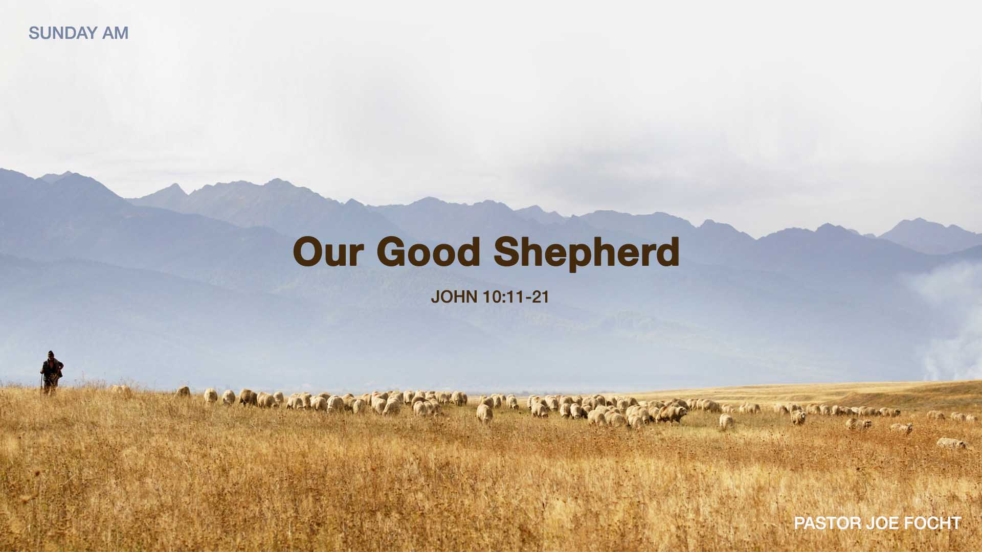 John 10:11-21<br />Our Good Shepherd