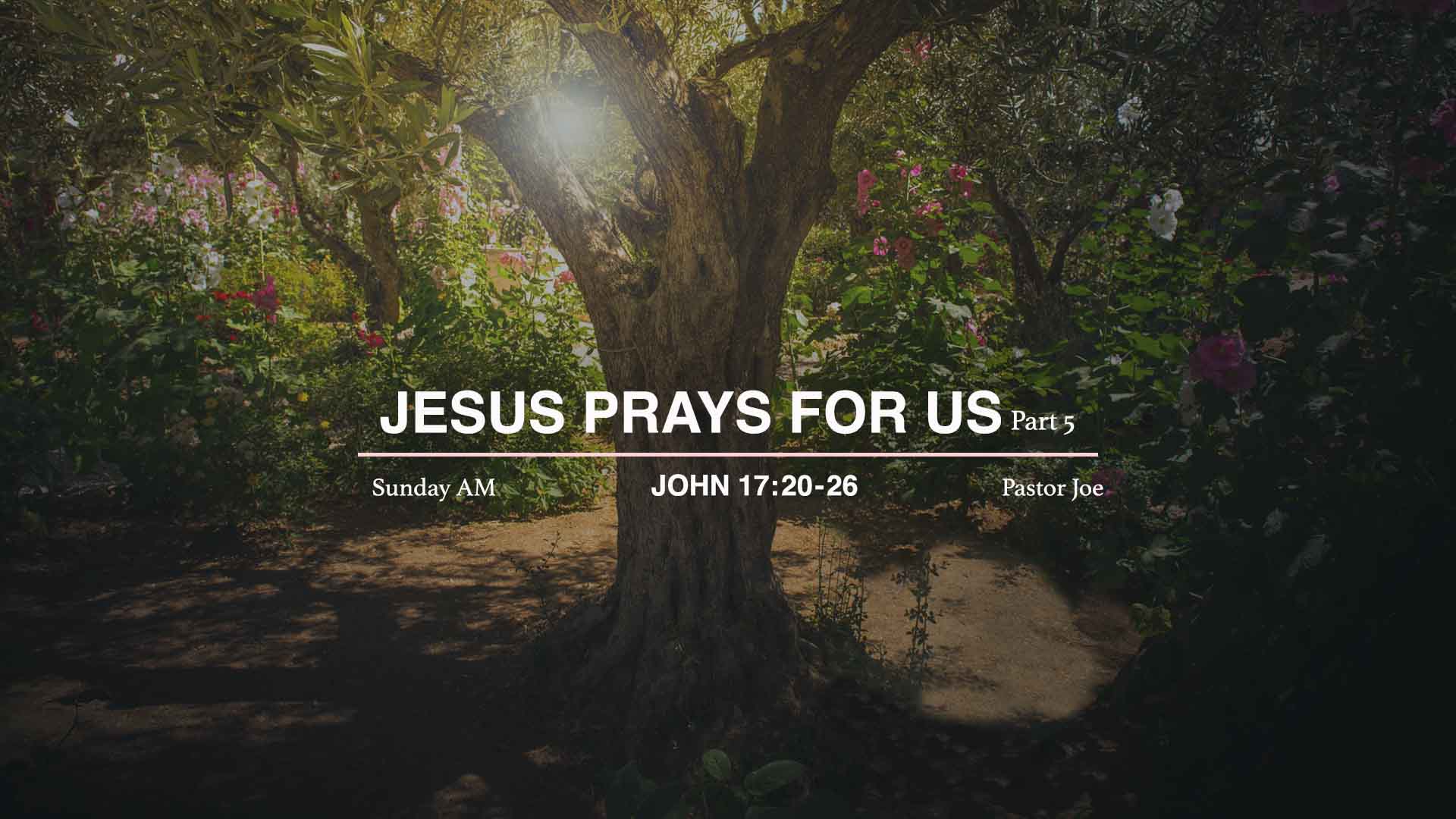 Jesus Prays for Us - Part 5<br />John 17:20-26