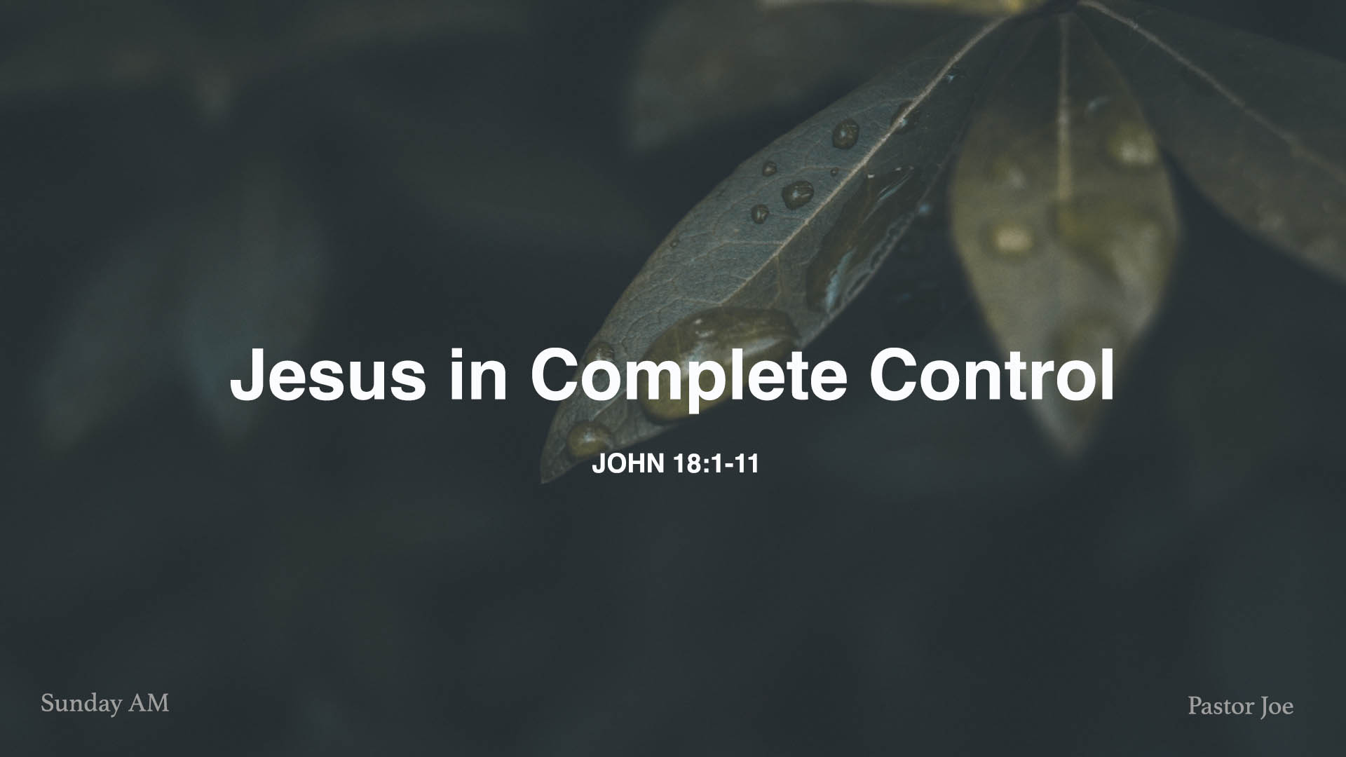 John18:1-11<br />Jesus in Complete Control