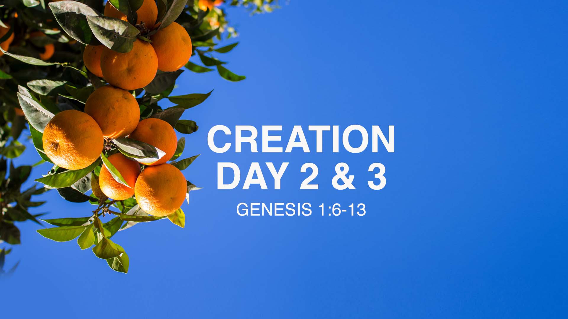 Genesis 1:6-13<br />Creation Day 2 & 3