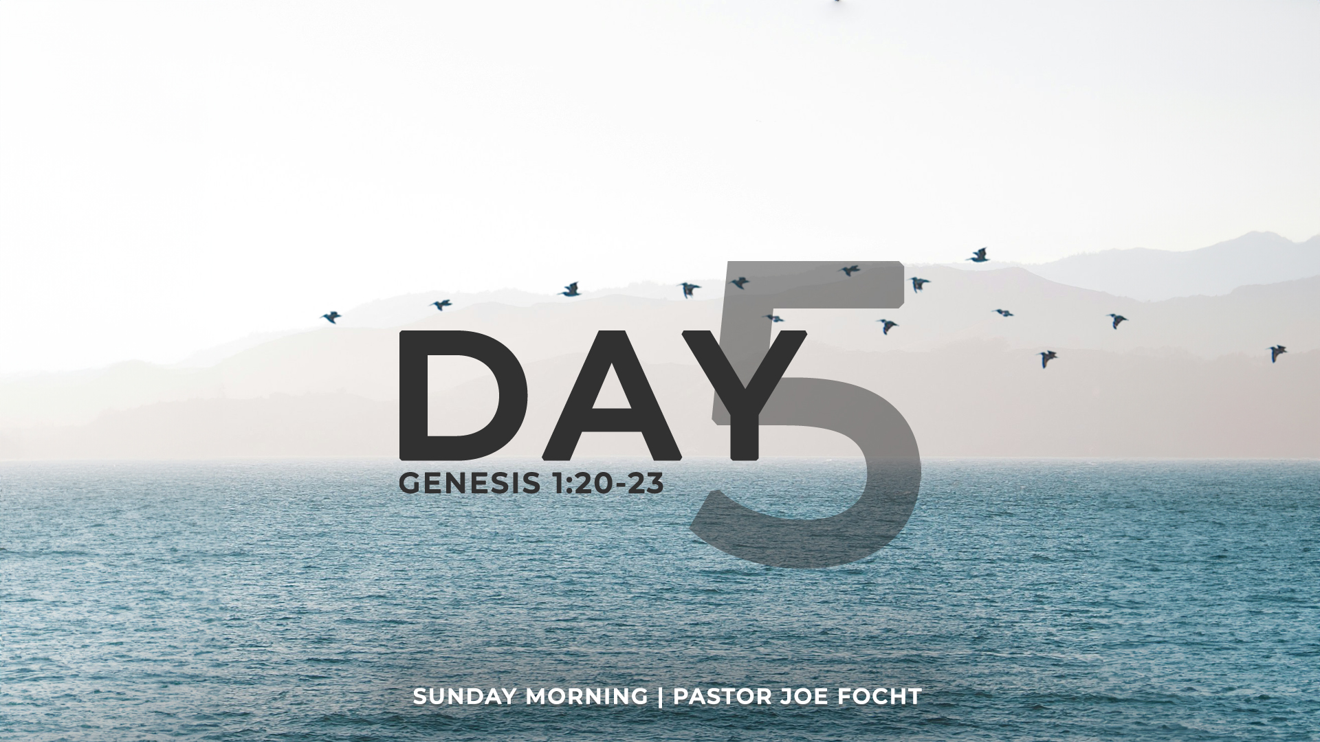 Genesis 1:20-23<br />Creation Day 5