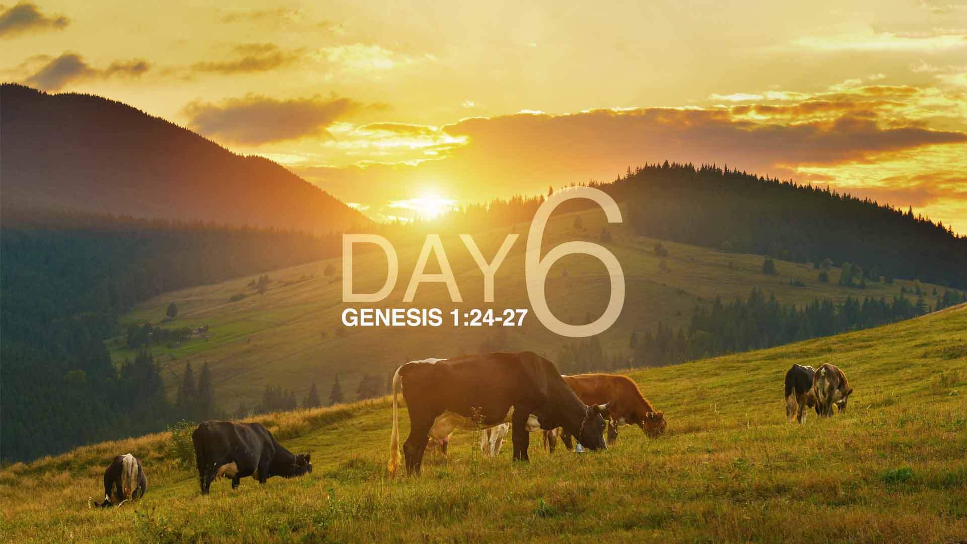 Genesis 1:24-27<br />Creation Day 6