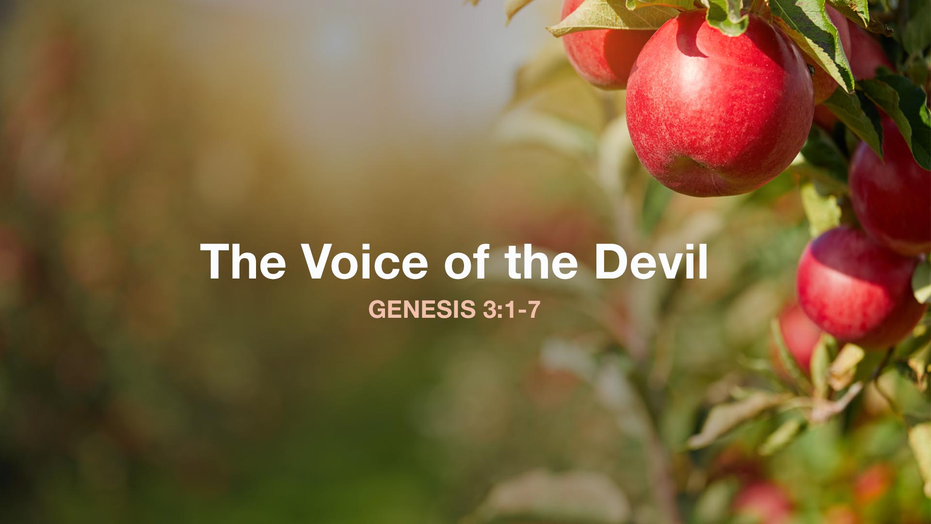 Genesis 3:1-7<br />The Voice of the Devil