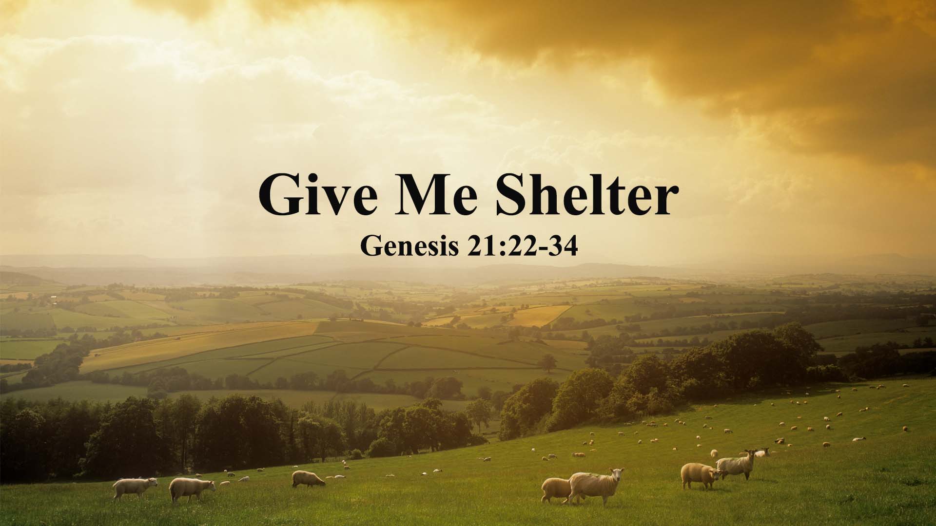 Genesis 21:22-34<br />Give Me Shelter