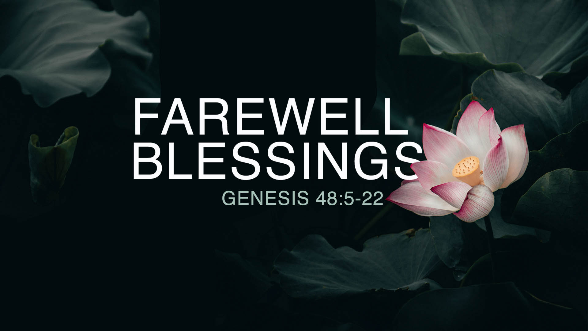 Genesis 48:5-22<br />Farewell Blessings
