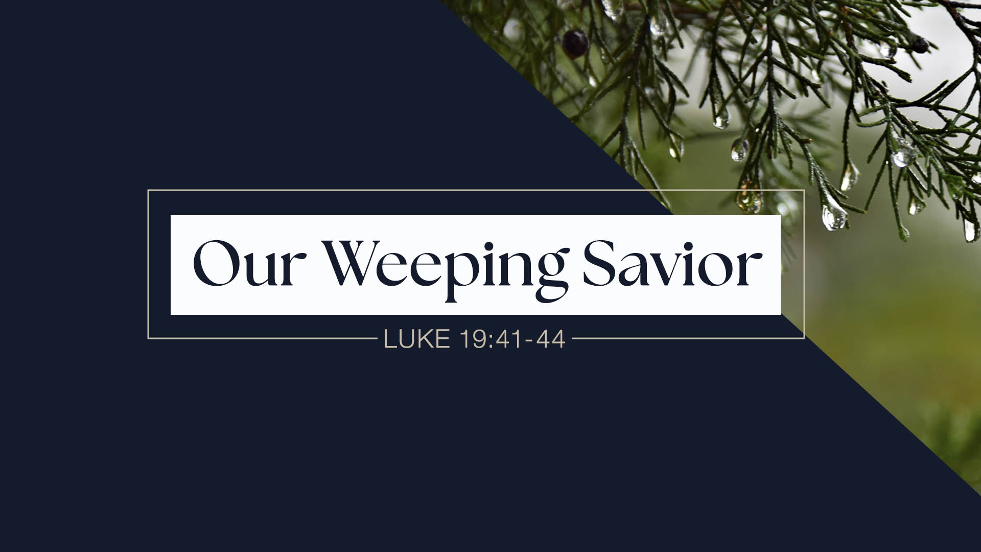 Luke 19:41-44<br />Our Weeping Savior