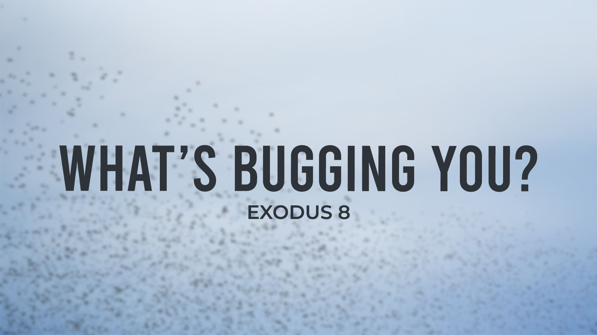 Exodus 8<br />What's Bugging You?