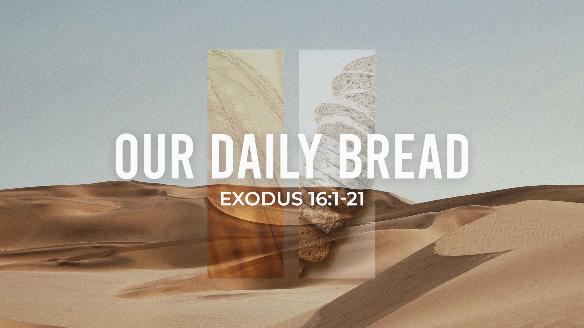 Exodus 16:1-21<br />Our Daily Bread