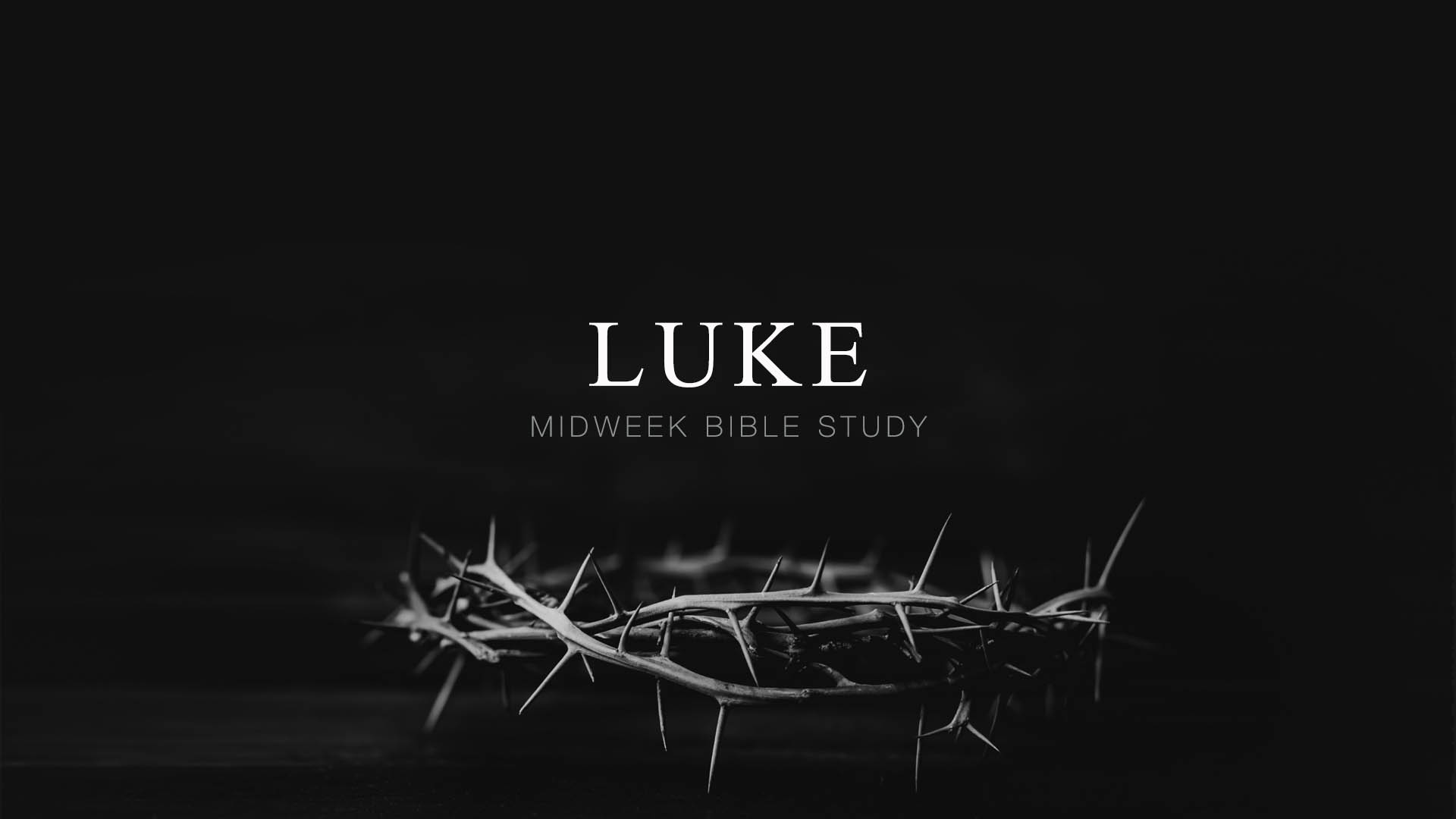 Luke 19:28-48