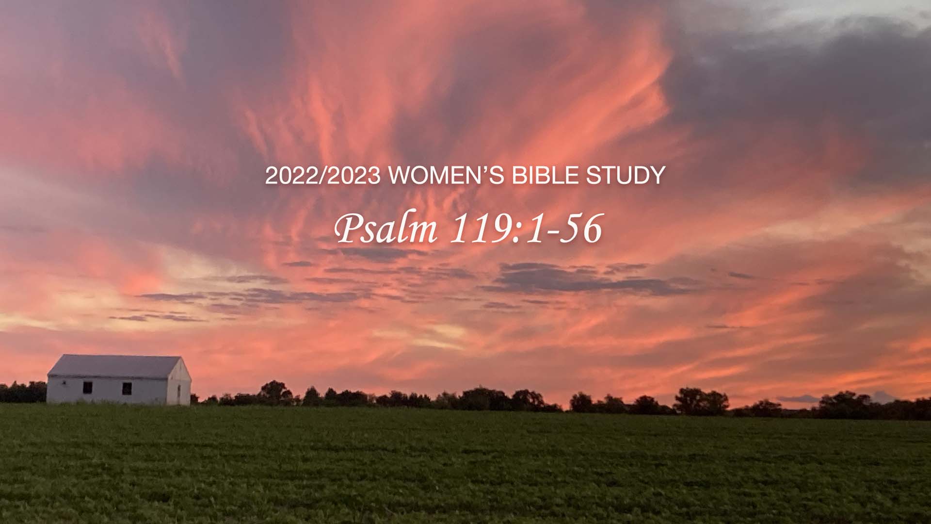 Women's Bible Study: Psalm 119:1-56