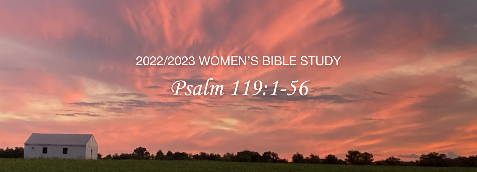 Women's Bible Study: Psalm 119:1-56