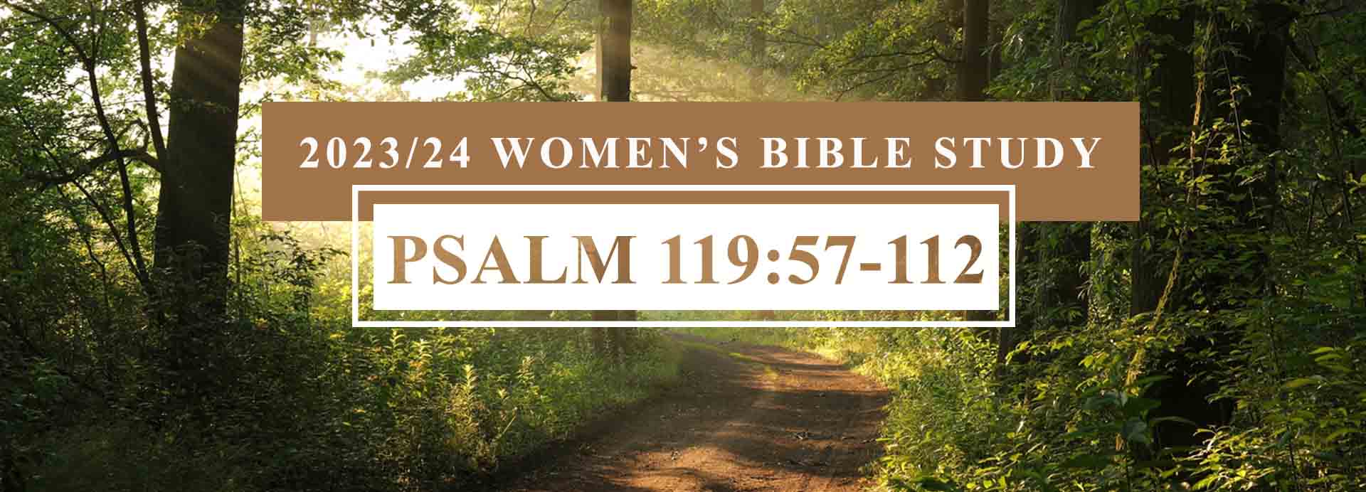 Women's Bible Study: Psalm 119:57-112