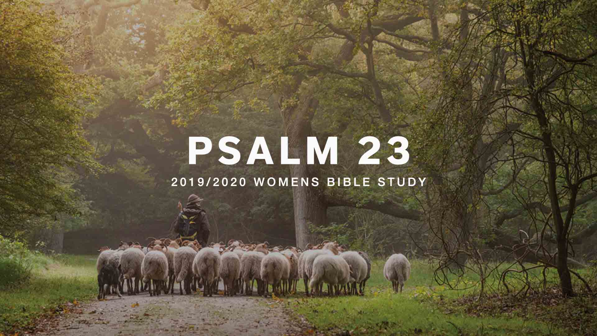 2019/2020 Women's Bible Study - Psalm 23, The Lord is MY Shepherd