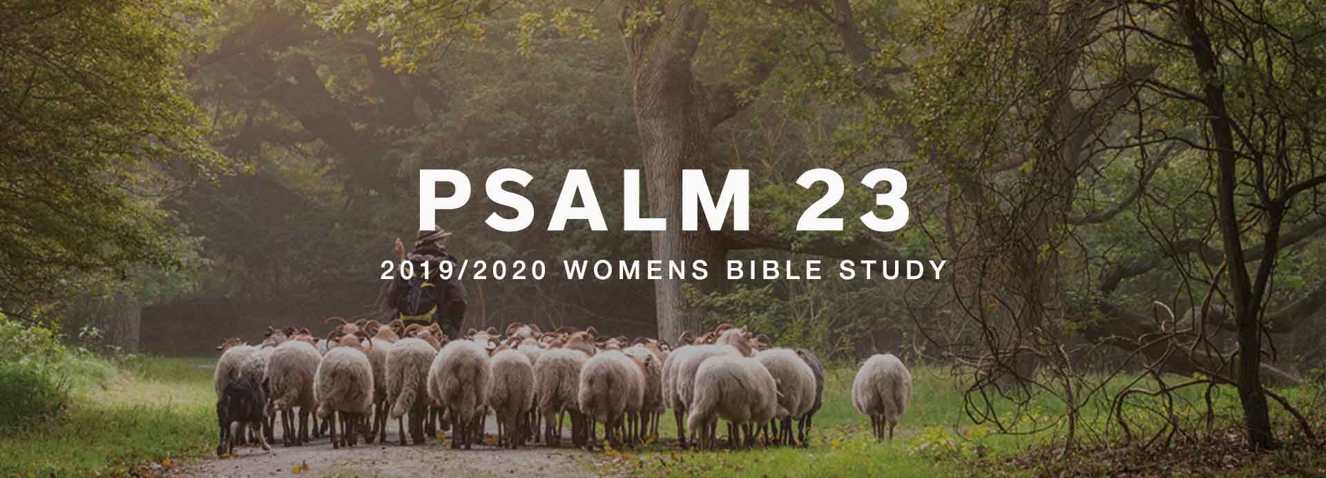 Women's Bible Study: Psalm 23