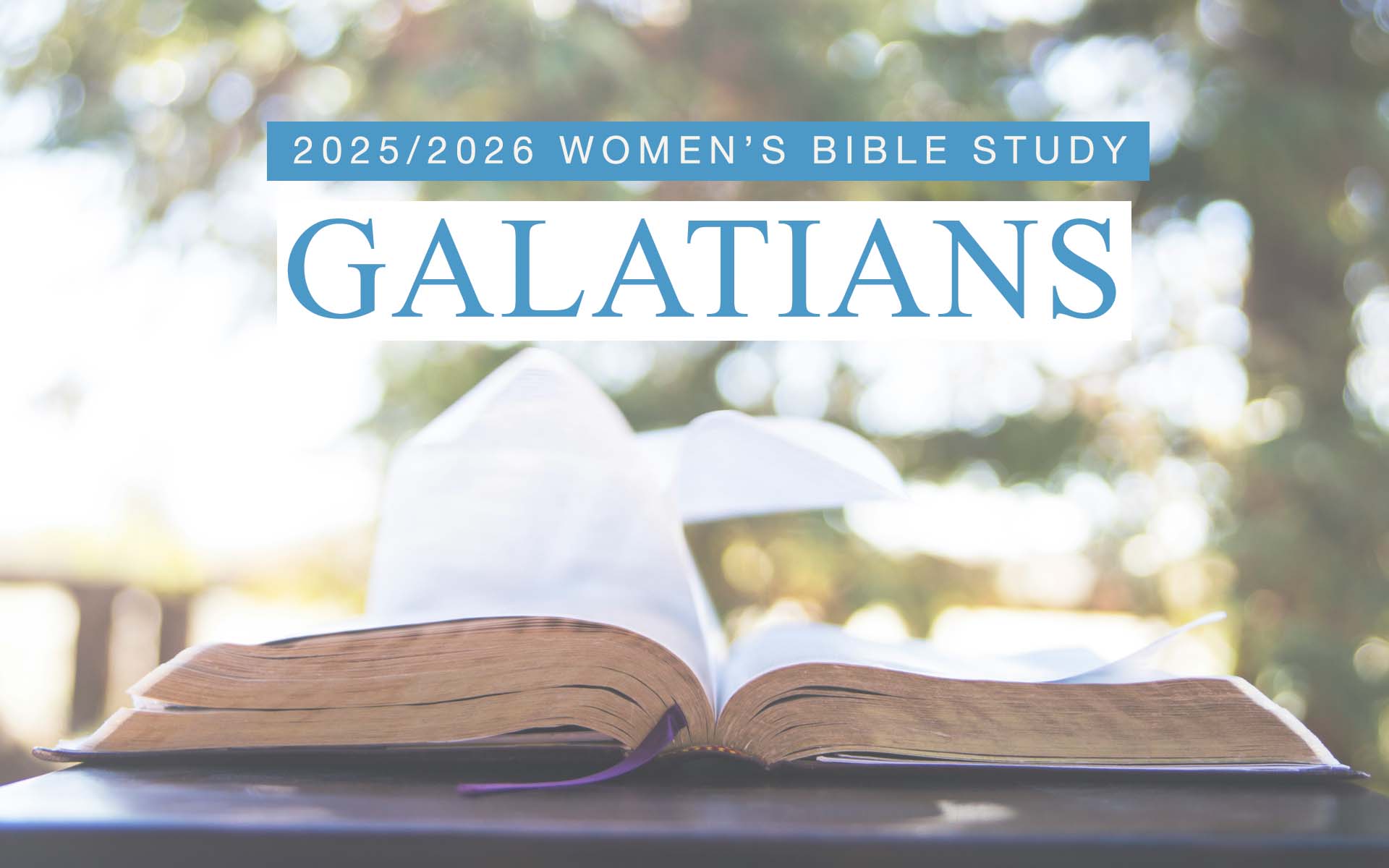 Women's Bible Study: Galatians 1-4:18