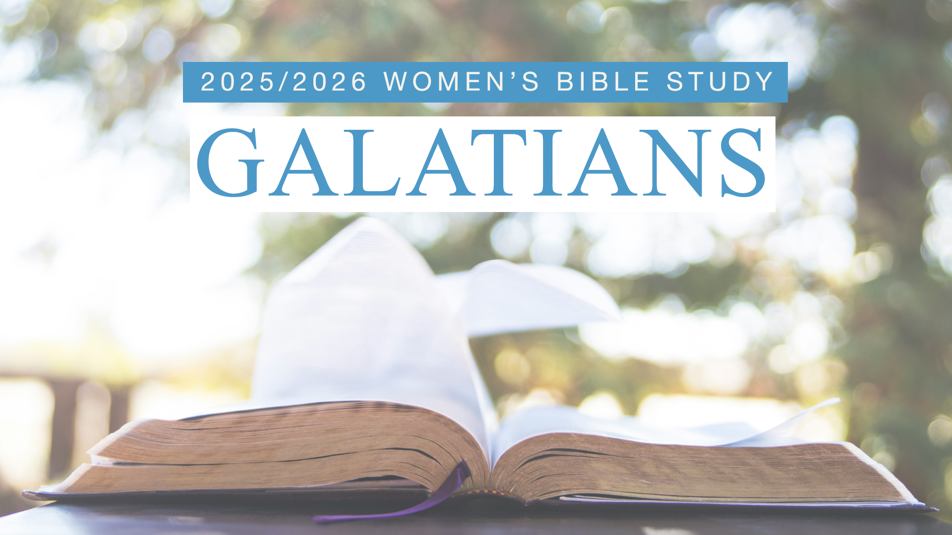 Women's Bible Study: Galatians 1-4:18