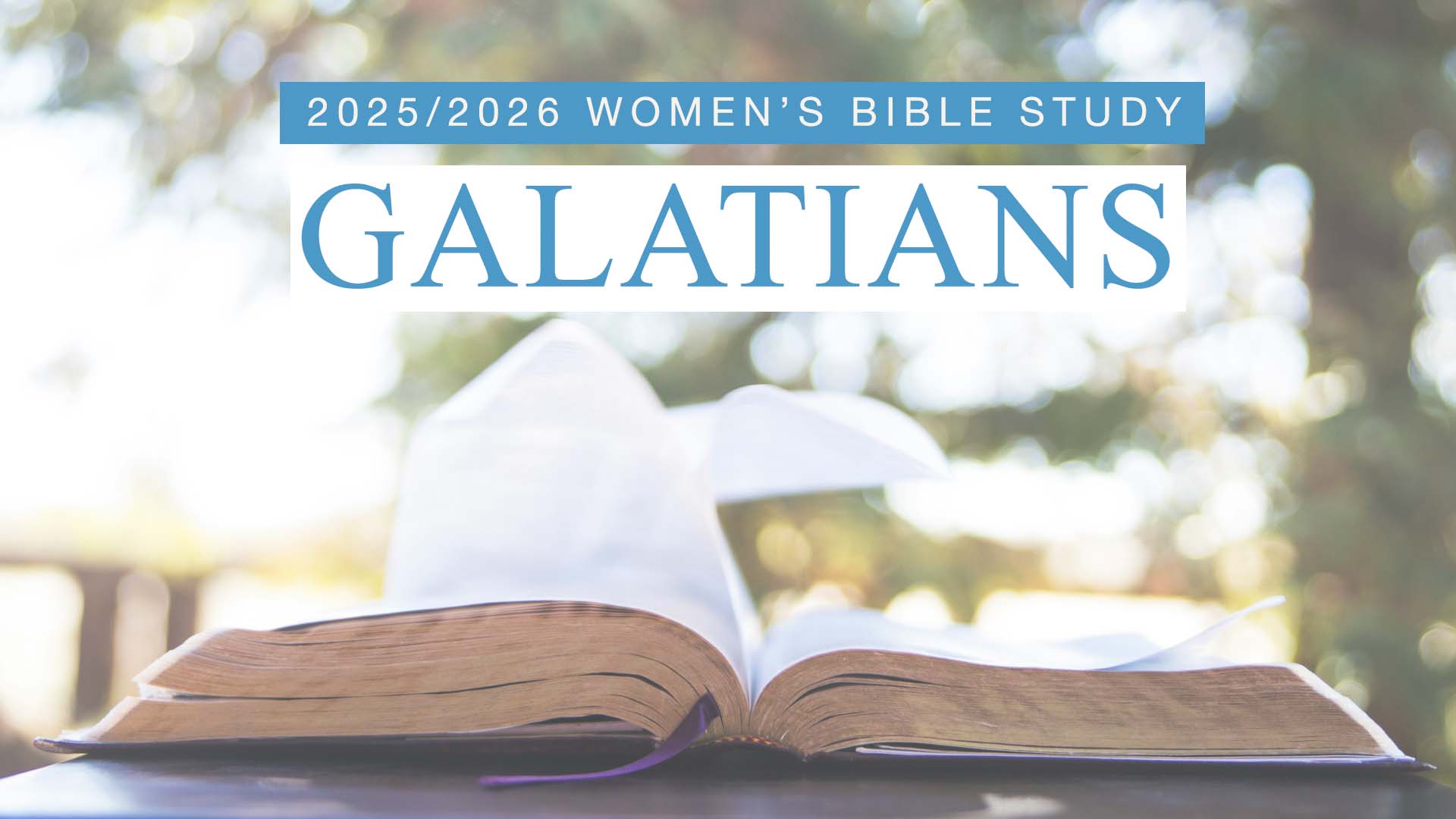 Women's Bible Study: Galatians 1-4:18